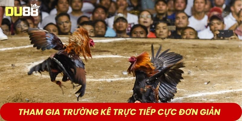 Tham gia trường kê trực tiếp cực đơn giản